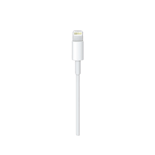 Apple Lightning to USB-C Cable (1m)