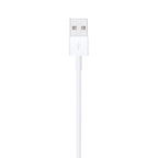 Apple Lightning to USB Cable (1m)