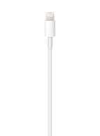 Apple Lightning to USB-C Cable (1m)