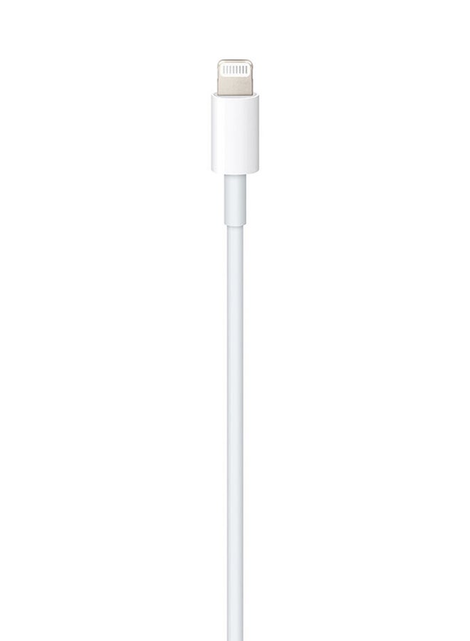 Apple Lightning to USB-C Cable (1m)